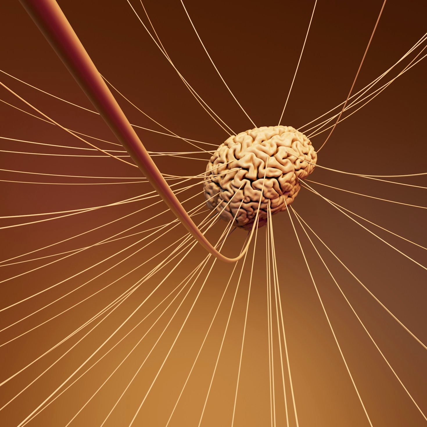 A importância da fisioterapia no tratamento contínuo