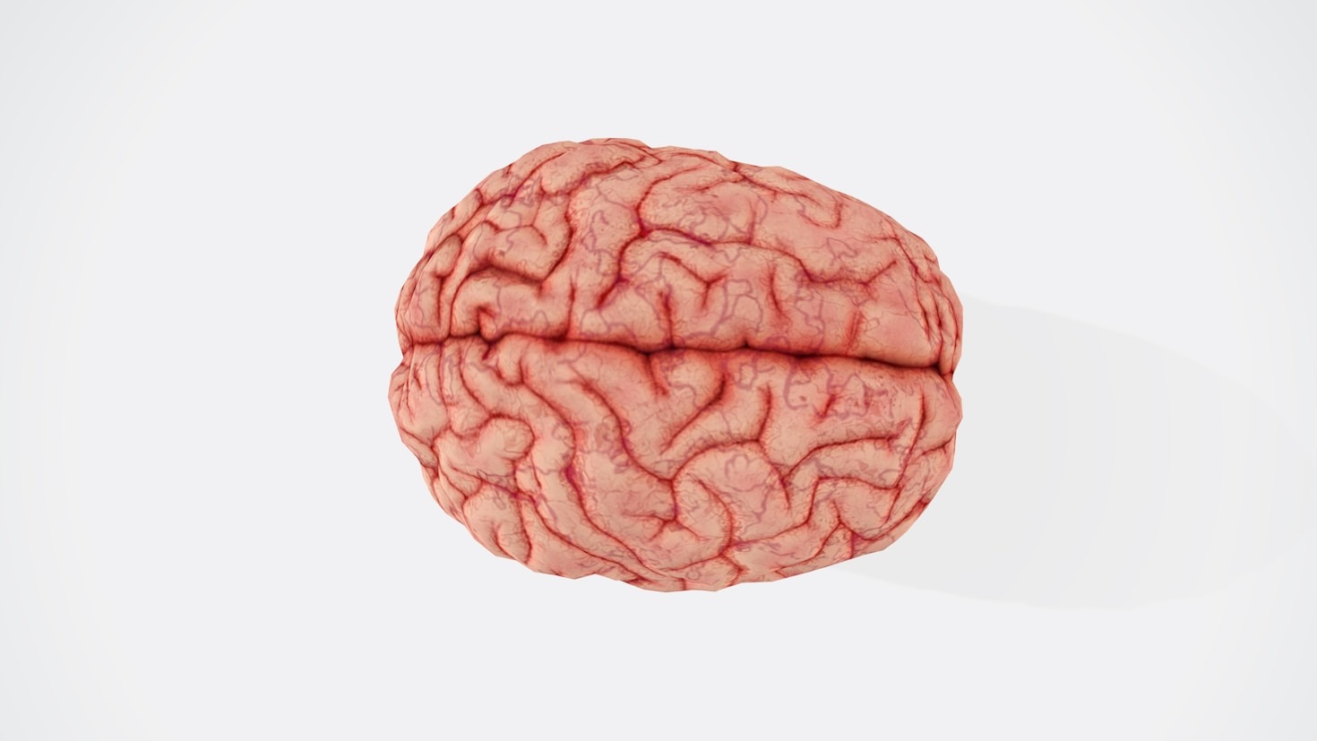 Novas descobertas científicas sobre a saúde cerebral